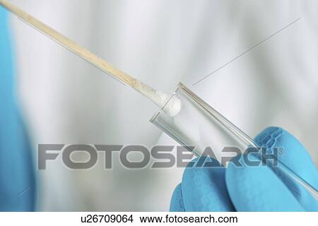 Swab sample collection. View Large Photo Image Picture - Swab sample collection.. Fotosearch