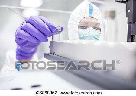 Stock Image - Technician checking stem cell cultures in a laboratory that manufactures human tissues for implants. Such implants include bone and skin grafts.. Fotosearch