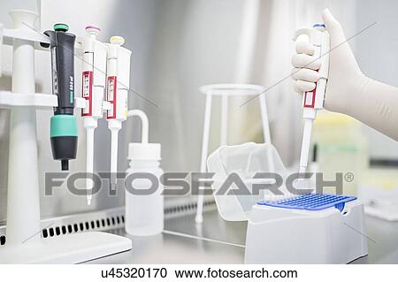 Stock Image - Technician pipetting biological samples in a laminar flow hood.. Fotosearch