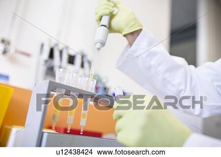 Technician pipetting samples into cartridges for solid phase extraction (SPE). SPE is used to separate biological compounds from a mixture for further analysis. View Large Photo Image Picture - Technician pipetting samples into cartridges for solid phase extraction (SPE). SPE is used to separate biological compounds from a mixture for further analysis.. Fotosearch