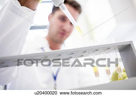 Technician pipetting samples into cartridges for solid phase extraction (SPE). SPE is used to separate biological compounds from a mixture for further analysis. View Large Photo Image Stock Image - Technician pipetting samples into cartridges for solid phase extraction (SPE). SPE is used to separate biological compounds from a mixture for further analysis.. Fotosearch