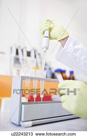 Stock Image - Technician pipetting samples into cartridges for solid phase extraction (SPE). SPE is used to separate biological compounds from a mixture for further analysis.. Fotosearch