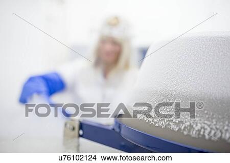 Technician storing stem cell samples in cryostorage. They have been frozen in liquid nitrogen to preserve them. Stem cells are a potential source of cells to repair damaged tissue in diseases such as Parkinson's and insulin-dependent diabetes. View Large Photo Image Picture - Technician storing stem cell samples in cryostorage. They have been frozen in liquid nitrogen to preserve them. Stem cells are a potential source of cells to repair damaged tissue in diseases such as Parkinson's and insulin-dependent diabetes.. Fotosearch