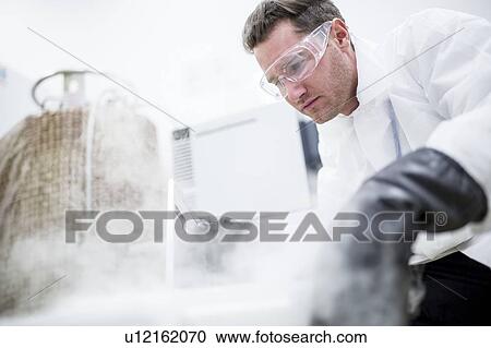 Technician storing stem cell samples in cryostorage. They have been frozen in liquid nitrogen to preserve them. Stem cells are a potential source of cells to repair damaged tissue in diseases such as Parkinson's and insulin-dependent diabetes. View Large Photo Image Stock Image - Technician storing stem cell samples in cryostorage. They have been frozen in liquid nitrogen to preserve them. Stem cells are a potential source of cells to repair damaged tissue in diseases such as Parkinson's and insulin-dependent diabetes.. Fotosearch