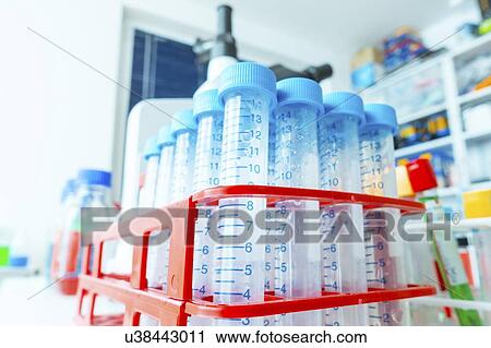 Test tubes in rack. View Large Photo Image Stock Image - Test tubes in rack.. Fotosearch
