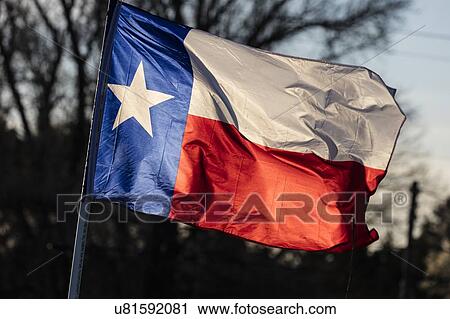 Texas "Lone Star" State Flag in blue sky View Large Photo Image Stock Image - Texas "Lone Star" State Flag in blue sky. Fotosearch