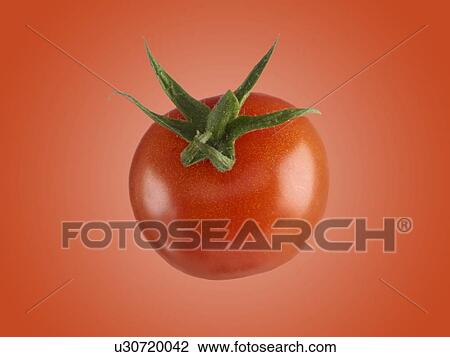 Tomato. View Large Photo Image Stock Image - Tomato.. Fotosearch