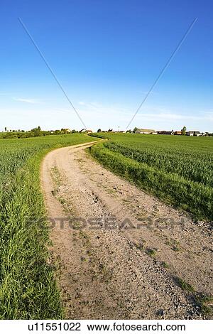 Stock Image - Track in field.. Fotosearch