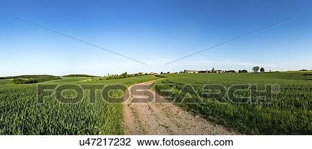 Stock Image - Track in field.. Fotosearch