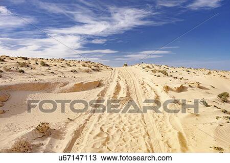 Stock Image - Track in sand dune.. Fotosearch