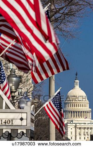 US Flag frames US Capitol, Washington D. C. View Large Photo Image Stock Image - US Flag frames US Capitol, Washington D. C. . Fotosearch