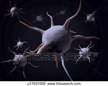 Virus cells, computer illustration. View Large Photo Image Stock Image - Virus cells, computer illustration.. Fotosearch
