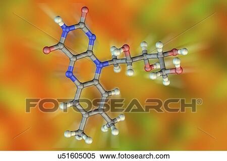 Stock Photography - Vitamin B2 (riboflavin), molecular model. This vitamin plays a key role in energy metabolism. Atoms are represented as spheres and are colour-coded: carbon (grey), hydrogen (white), nitrogen (blue) and oxygen (red).. Fotosearch