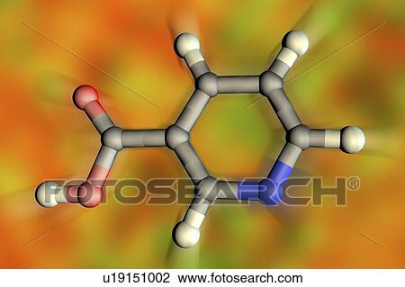 Vitamin B3 (nicotinic acid), molecular model. Insufficient intake of vitamin B3 leads to a disease called pellagra. Atoms are represented as spheres and are colour-coded: carbon (grey), hydrogen (white), nitrogen (blue) and oxygen (red). View Large Photo Image Stock Image - Vitamin B3 (nicotinic acid), molecular model. Insufficient intake of vitamin B3 leads to a disease called pellagra. Atoms are represented as spheres and are colour-coded: carbon (grey), hydrogen (white), nitrogen (blue) and oxygen (red).. Fotosearch