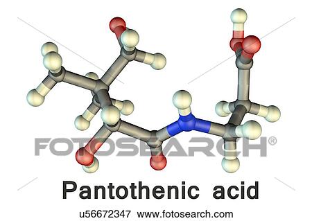 Stock Photo - Vitamin B5 (pantothenic acid), molecular model. This vitamin is required for synthesizing coenzyme-A. Atoms are represented as spheres and are colour-coded: carbon (grey), hydrogen (white), nitrogen (blue) and oxygen (red).. Fotosearch
