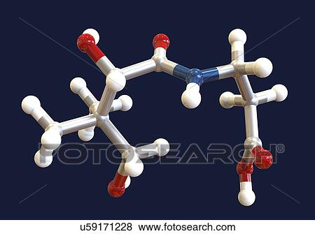 Stock Photo - Vitamin B5 (pantothenic acid), molecular model. This vitamin is required for synthesizing coenzyme-A. Atoms are represented as spheres and are colour-coded: carbon (grey), hydrogen (white), nitrogen (blue) and oxygen (red).. Fotosearch