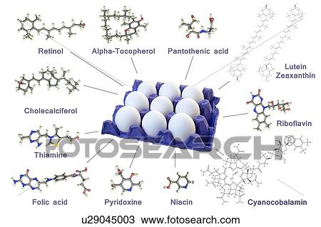 Vitamin composition of chicken egg, photo and computer illustration. Healthy food concept View Large Photo Image Stock Image - Vitamin composition of chicken egg, photo and computer illustration. Healthy food concept. Fotosearch