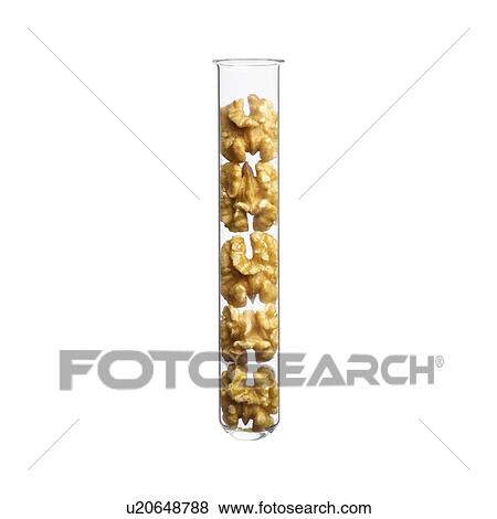 Walnuts in test tube, studio shot. View Large Photo Image Stock Photo - Walnuts in test tube, studio shot.. Fotosearch