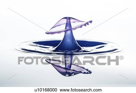 Stock Image - Water splash with a crown and reflection.. Fotosearch
