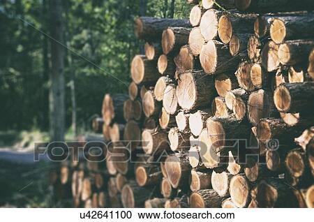 Stock Image - Wooden Logs with Forest Background. Fotosearch