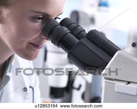Young female graduate viewing a sample down a microscope. View Large Photo Image Picture - Young female graduate viewing a sample down a microscope.. Fotosearch