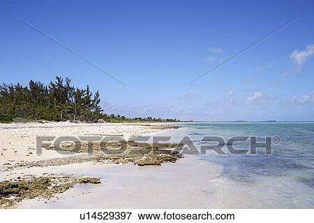 Beach on Bahamas on sunny day View Large Photo Image Stock Photo - Beach on Bahamas on sunny day. Fotosearch