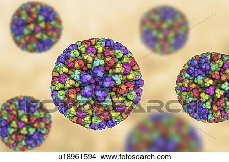 Picture - Bluetongue virus particle. Computer illustration of the core particle of the bluetongue virus (BTV), with proteins represented by coloured blobs. The particle measures about 70 nanometres in diameter. BTV causes bluetongue disease, a disease of sheep.... Fotosearch
