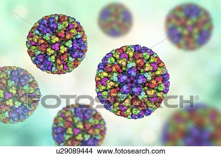 Picture - Bluetongue virus particle. Computer illustration of the core particle of the bluetongue virus (BTV), with proteins represented by coloured blobs. The particle measures about 70 nanometres in diameter. BTV causes bluetongue disease, a disease of sheep.... Fotosearch