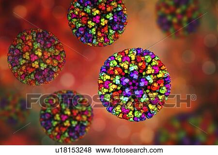 Stock Photo - Bluetongue virus particle. Computer illustration of the core particle of the bluetongue virus (BTV), with proteins represented by coloured blobs. The particle measures about 70 nanometres in diameter. BTV causes bluetongue disease, a disease of sheep.... Fotosearch