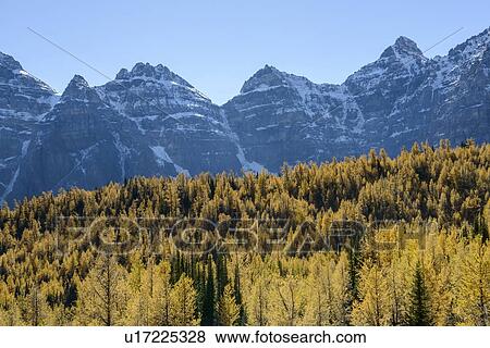 Canada, Alberta, Banff, Forest and mountains in Banff National Park View Large Photo Image Stock Photo - Canada, Alberta, Banff, Forest and mountains in Banff National Park. Fotosearch