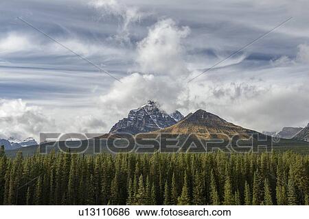 Canada, Alberta, Banff, Forest and snowcapped mountains in Banff National Park View Large Photo Image Stock Photograph - Canada, Alberta, Banff, Forest and snowcapped mountains in Banff National Park. Fotosearch