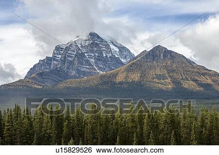 Stock Photograph - Canada, Alberta, Banff, Forest and snowcapped mountains in Banff National Park. Fotosearch
