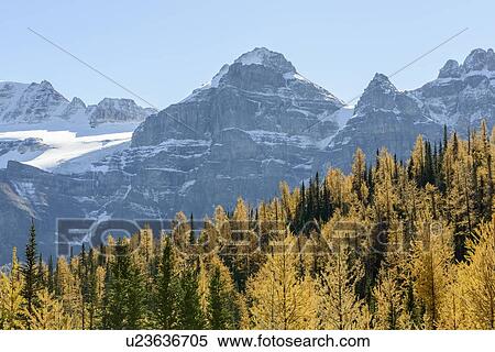 Canada, Alberta, Banff, Forest and mountains in Banff National Park View Large Photo Image Stock Photography - Canada, Alberta, Banff, Forest and mountains in Banff National Park. Fotosearch