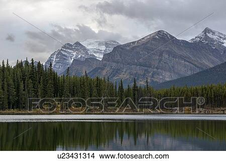 Canada, Alberta, Banff, Herbert Lake, forest and mountains View Large Photo Image Picture - Canada, Alberta, Banff, Herbert Lake, forest and mountains. Fotosearch