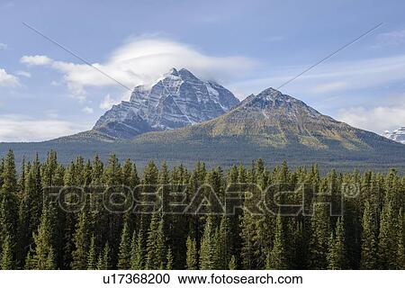 Canada, Alberta, Banff, Scenic view of mountains and forest View Large Photo Image Stock Image - Canada, Alberta, Banff, Scenic view of mountains and forest. Fotosearch