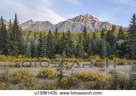 Canada, Alberta, Jasper, Mountain landscape in Jasper National Park View Large Photo Image Stock Photography - Canada, Alberta, Jasper, Mountain landscape in Jasper National Park. Fotosearch