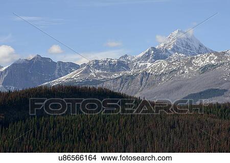 Canada, Alberta, Jasper, Snowcapped mountains and forest in Jasper National Park View Large Photo Image Picture - Canada, Alberta, Jasper, Snowcapped mountains and forest in Jasper National Park. Fotosearch