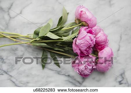 Stock Image - Flowers on marble table. Fotosearch