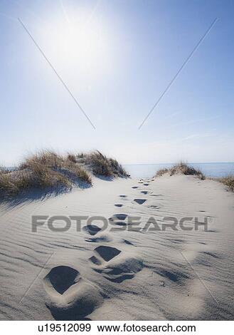 Footprints in sand View Large Photo Image Stock Photo - Footprints in sand. Fotosearch