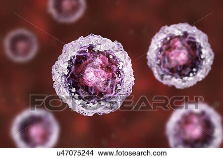 Picture - Human embryonic stem cells, computer illustration.. Fotosearch