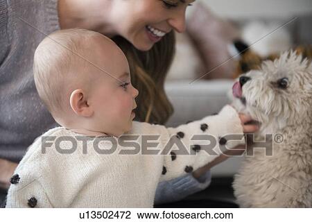Stock Image - Mother and baby daughter (18-23 months) playing with dog. Fotosearch