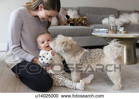 Mother and baby daughter (18-23 months) playing with dog in living room View Large Photo Image Stock Image - Mother and baby daughter (18-23 months) playing with dog in living room. Fotosearch