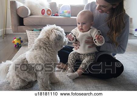 Stock Image - Mother and baby daughter (18-23 months) playing with dog in living room. Fotosearch