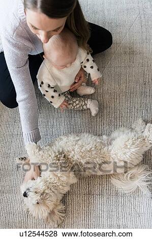 Mother and baby daughter (18-23 months) playing with dog View Large Photo Image Stock Photo - Mother and baby daughter (18-23 months) playing with dog. Fotosearch