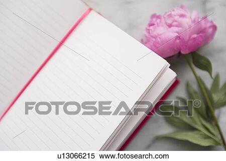 Note pad and peony View Large Photo Image Stock Photography - Note pad and peony. Fotosearch