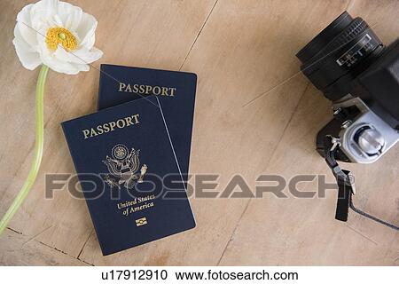 Stock Image - Passport, flowers and camera on table. Fotosearch