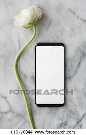 Picture - Smart phone and flower. Fotosearch