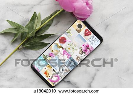 Stock Image - Smart phone and flower. Fotosearch