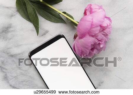Stock Photo - Smart phone and flower. Fotosearch