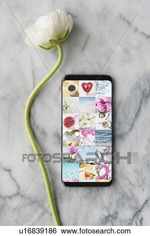 Stock Photograph - Smart phone and flower. Fotosearch